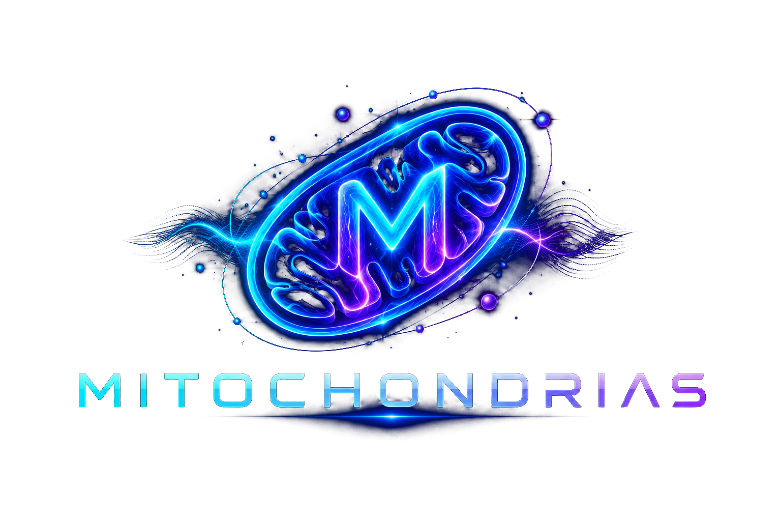 MITOCHONDRIAS